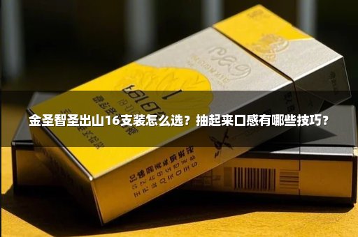 金圣智圣出山16支装怎么选？抽起来口感有哪些技巧？